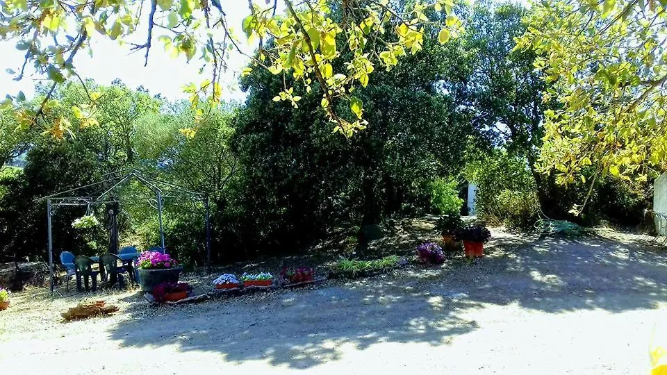 Agriturismo La Tanca Berchiddeddu Bed & Breakfast